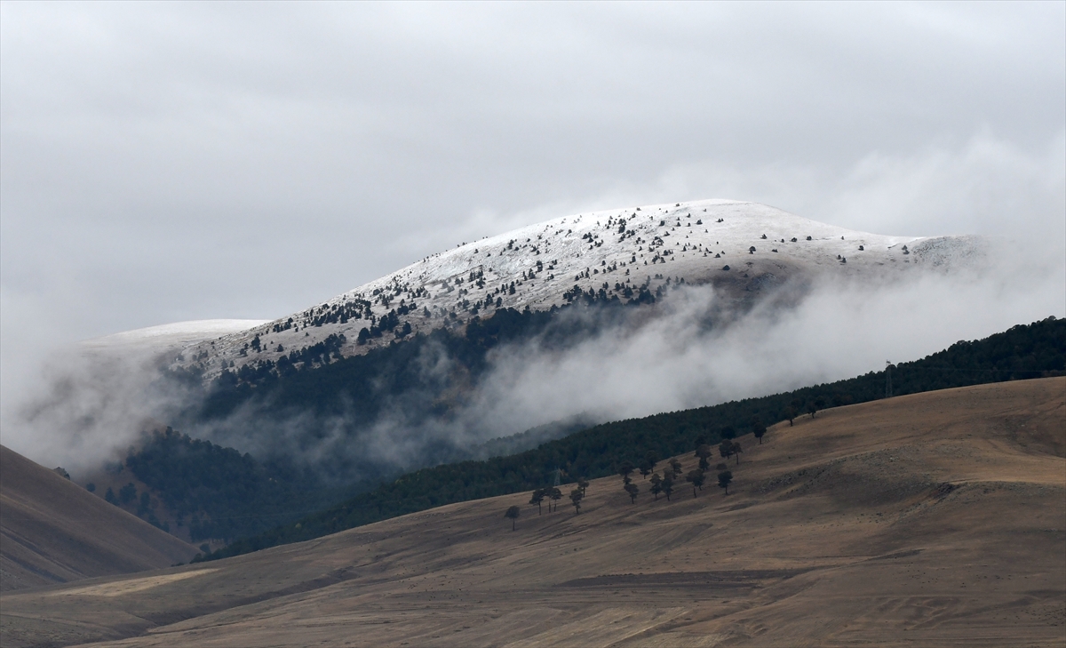 Kars'a kar düştü - 0