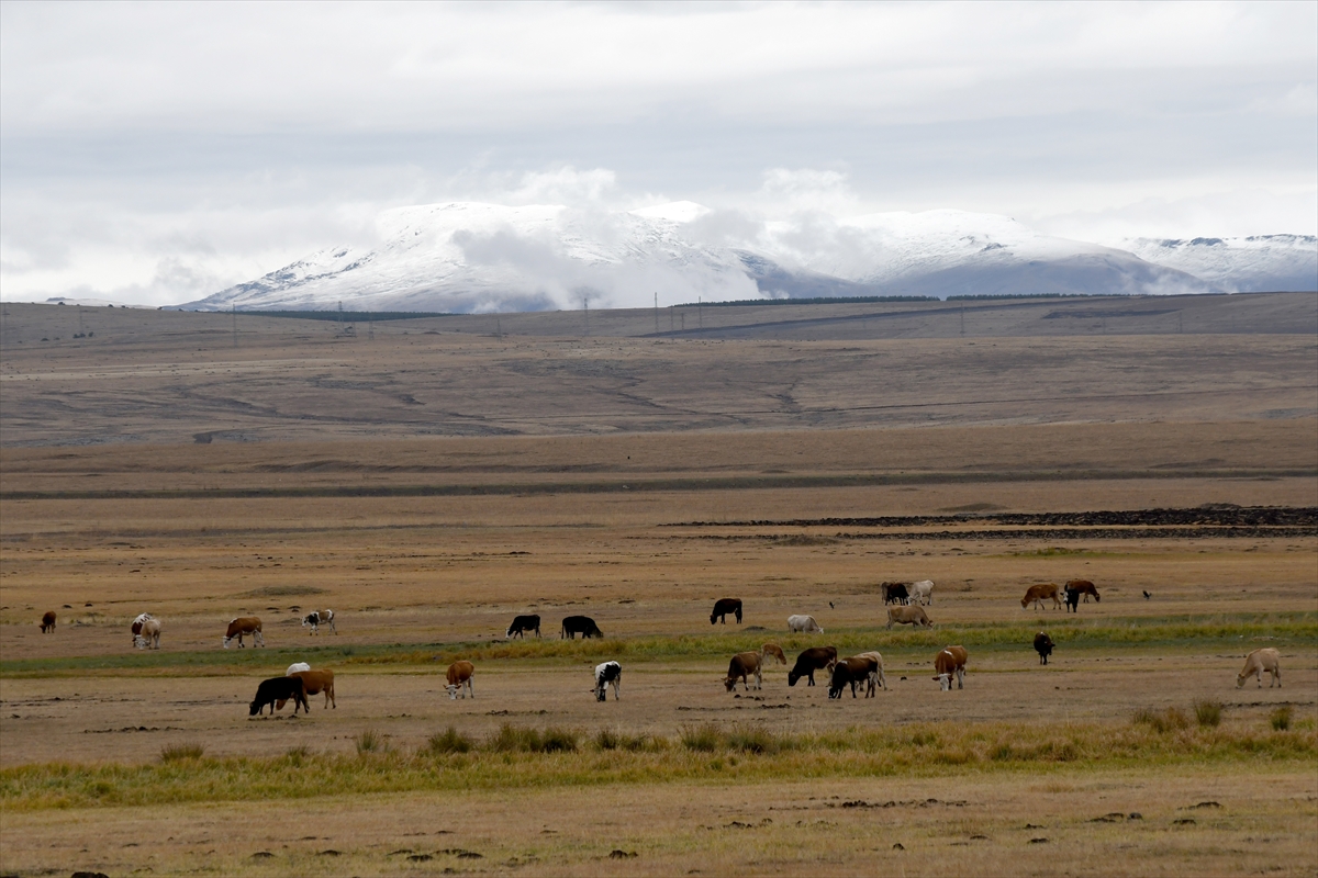Kars'a kar düştü - 0