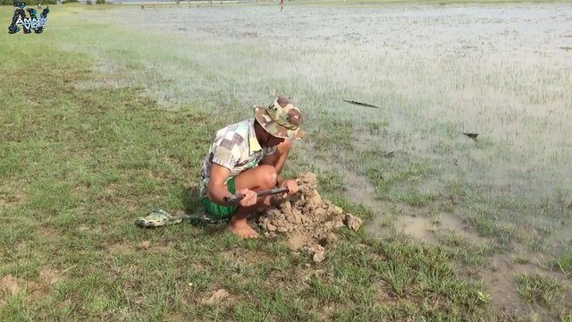 İşte ilginç bir balık avlama yöntemi - 2