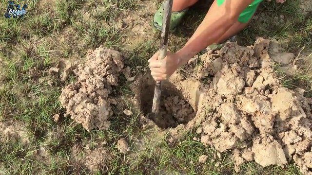 İşte ilginç bir balık avlama yöntemi - 3