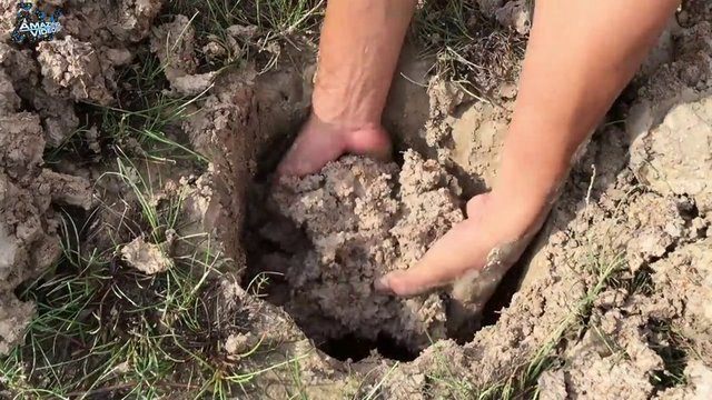 İşte ilginç bir balık avlama yöntemi - 4