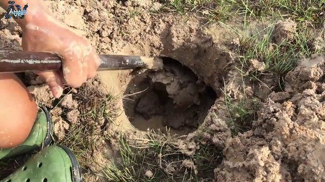 İşte ilginç bir balık avlama yöntemi - 6