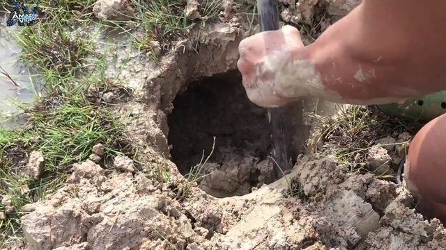 İşte ilginç bir balık avlama yöntemi - 8