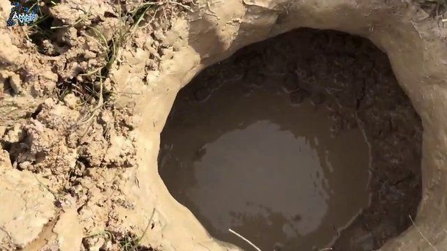 İşte ilginç bir balık avlama yöntemi - 10