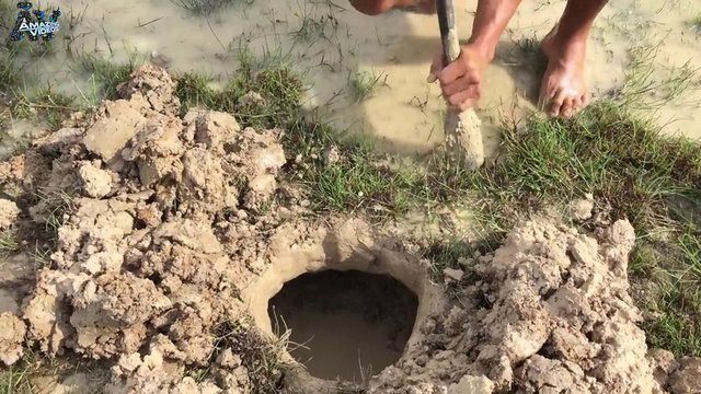 İşte ilginç bir balık avlama yöntemi - 11