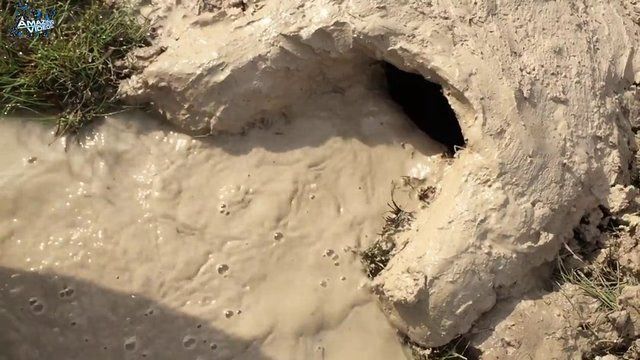 İşte ilginç bir balık avlama yöntemi - 20