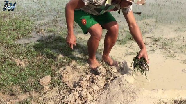 İşte ilginç bir balık avlama yöntemi - 24