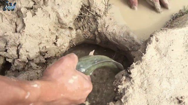 İşte ilginç bir balık avlama yöntemi - 30