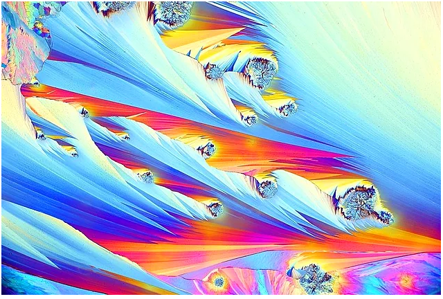 2017 Nikon makro fotoğraflar yarışmasının kazananları işte bu kareleri çekmiş! - 20