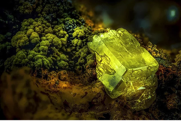 2017 Nikon makro fotoğraflar yarışmasının kazananları işte bu kareleri çekmiş! - 16