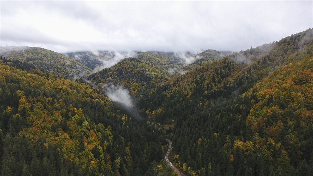 Kastamonu sonbaharda fotoğrafçıları çağırıyor - 0