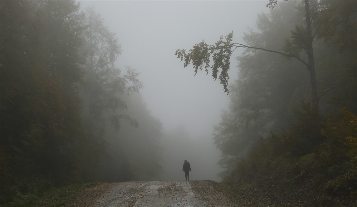Kastamonu sonbaharda fotoğrafçıları çağırıyor - 0