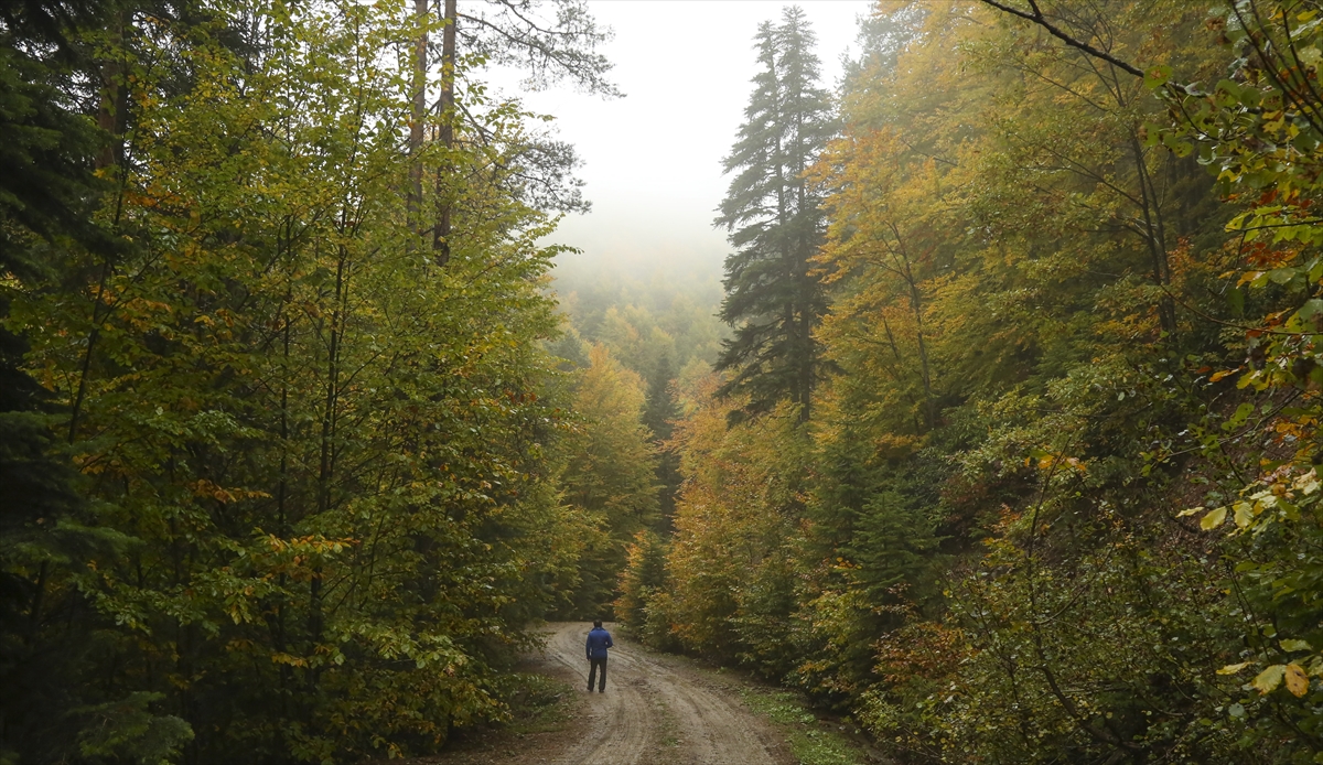 Kastamonu sonbaharda fotoğrafçıları çağırıyor - 0