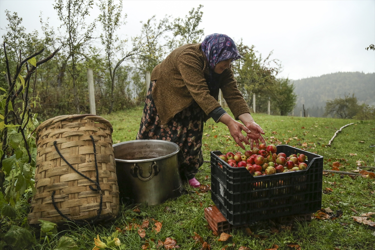 Kastamonu sonbaharda fotoğrafçıları çağırıyor - 0