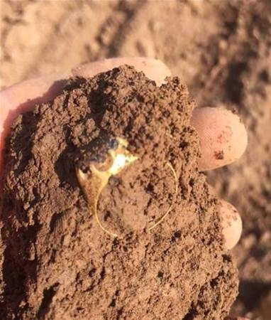 Arkeologlar kazı yaptıkları yerde öyle bir şey buldu ki! - 11