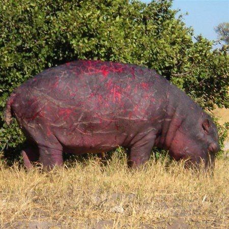 Kasırgadan sonra korkutan kareler - 0