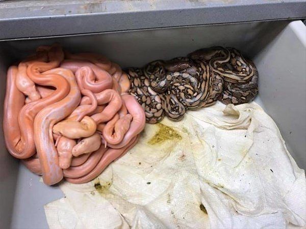 Kasırgadan sonra korkutan kareler - 0