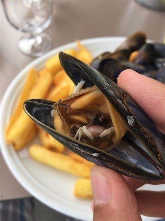 Kasırgadan sonra korkutan kareler - 0