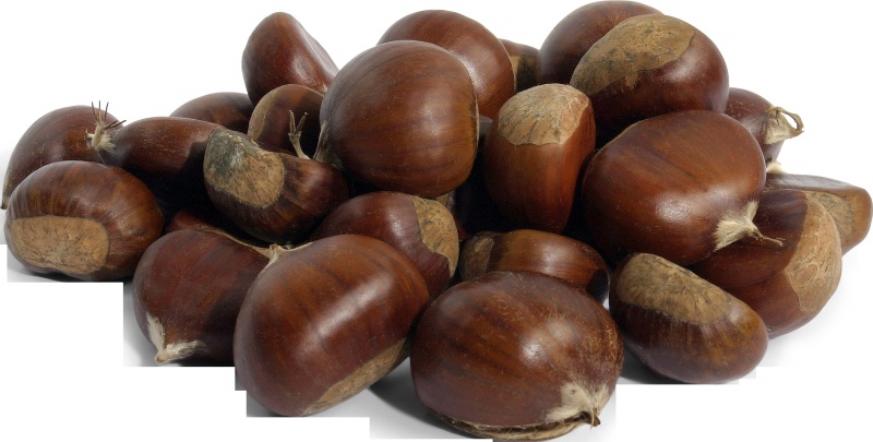 Kestanenin yararları saymakla bitmiyor - 10