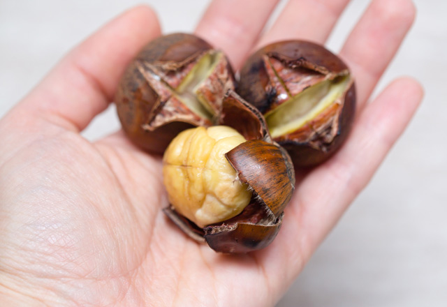 Kestanenin yararları saymakla bitmiyor - 14