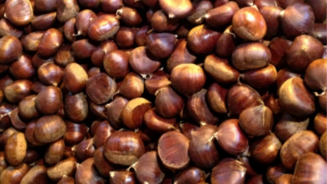 Kestanenin yararları saymakla bitmiyor - 18