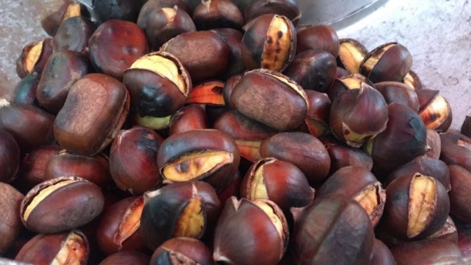 Kestanenin yararları saymakla bitmiyor - 19