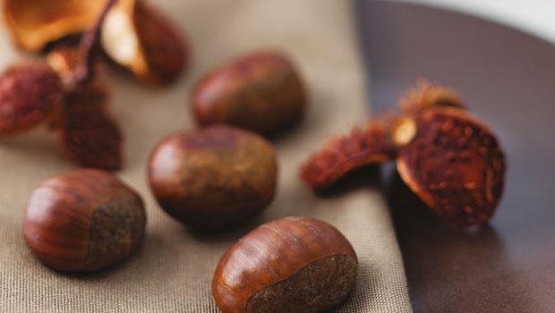Kestanenin yararları saymakla bitmiyor - 20