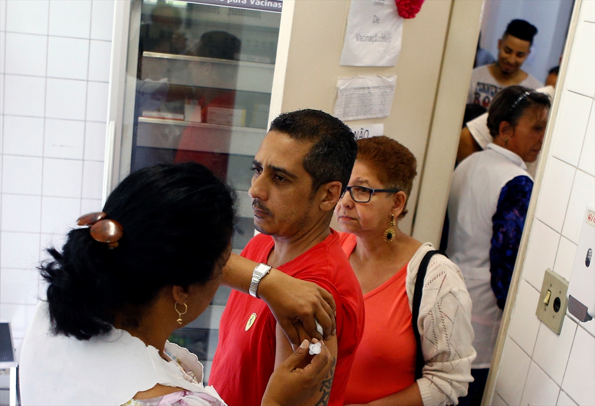 Brezilya'da 'sarı humma' alarmı - 1