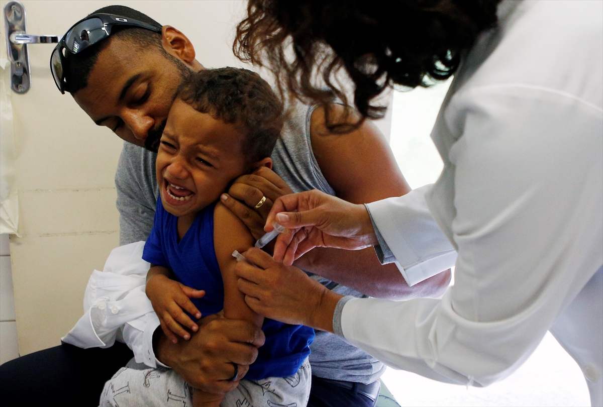 Brezilya'da 'sarı humma' alarmı - 5