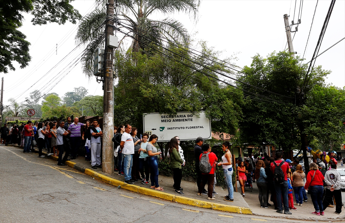 Brezilya'da 'sarı humma' alarmı - 8