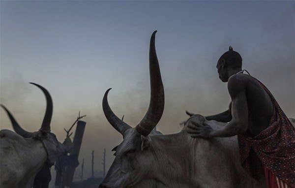 Amazon ormanlarındaki kabile ilk kez görüntülendi - 23