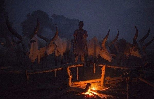 Amazon ormanlarındaki kabile ilk kez görüntülendi - 27