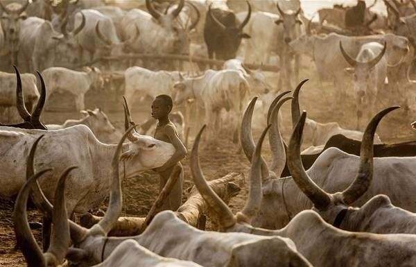 Amazon ormanlarındaki kabile ilk kez görüntülendi - 28
