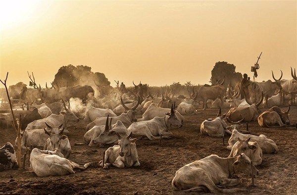 Amazon ormanlarındaki kabile ilk kez görüntülendi - 30