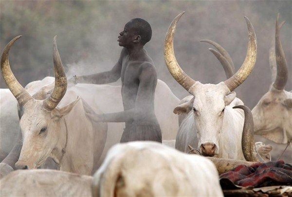 Amazon ormanlarındaki kabile ilk kez görüntülendi - 31