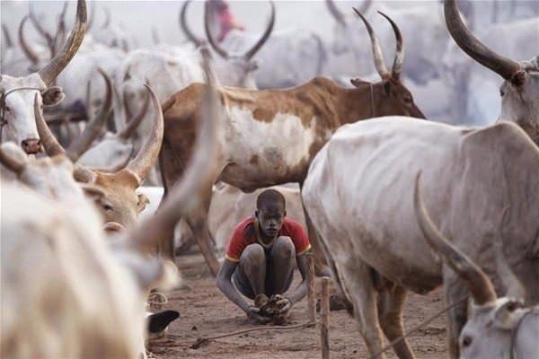 Amazon ormanlarındaki kabile ilk kez görüntülendi - 33
