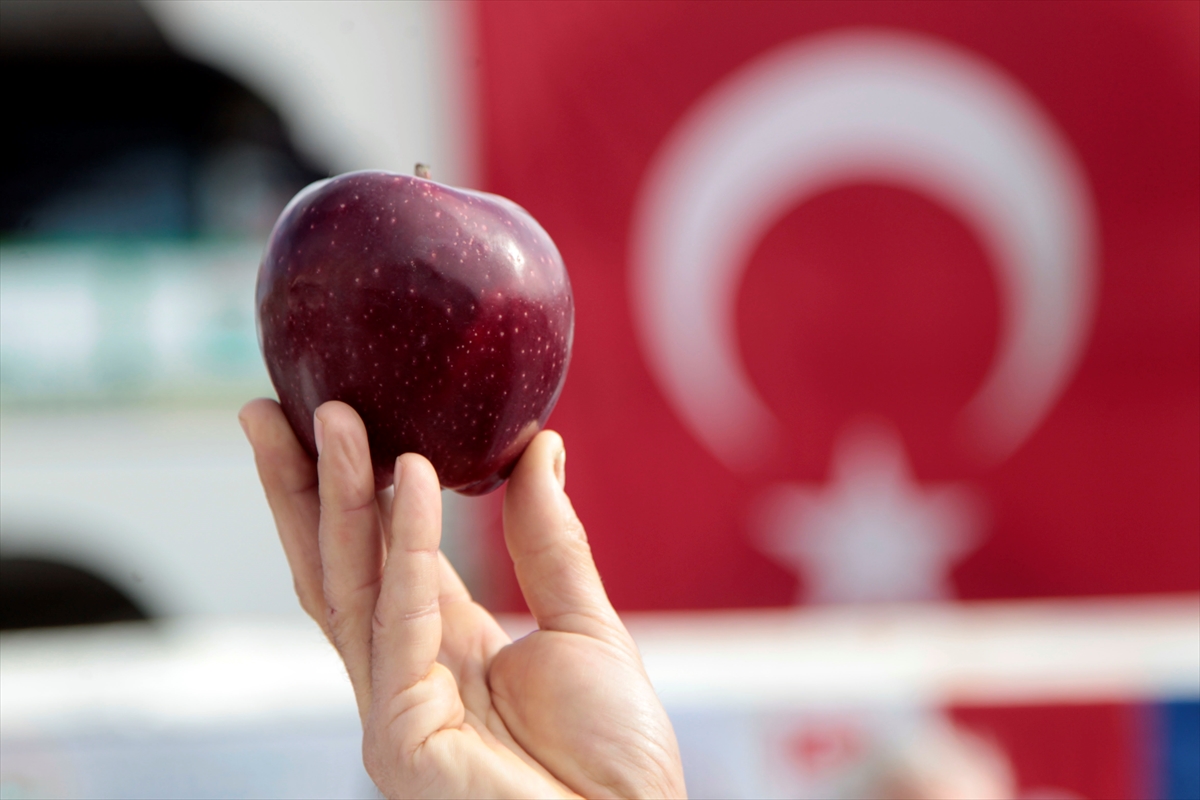 Kahramanmaraş'ta elma festivali düzenlendi - 0