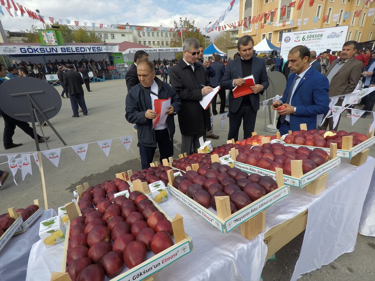 Kahramanmaraş'ta elma festivali düzenlendi - 0