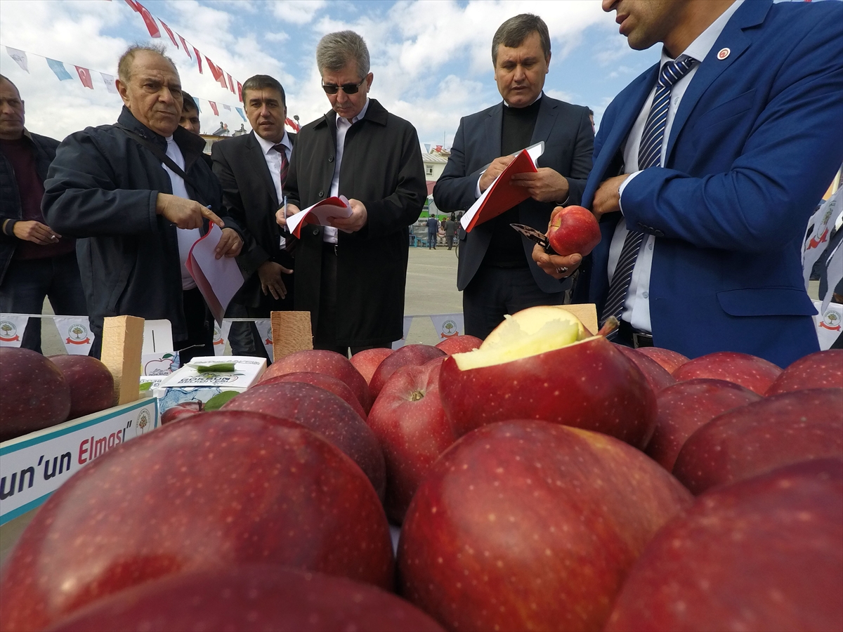 Kahramanmaraş'ta elma festivali düzenlendi - 0