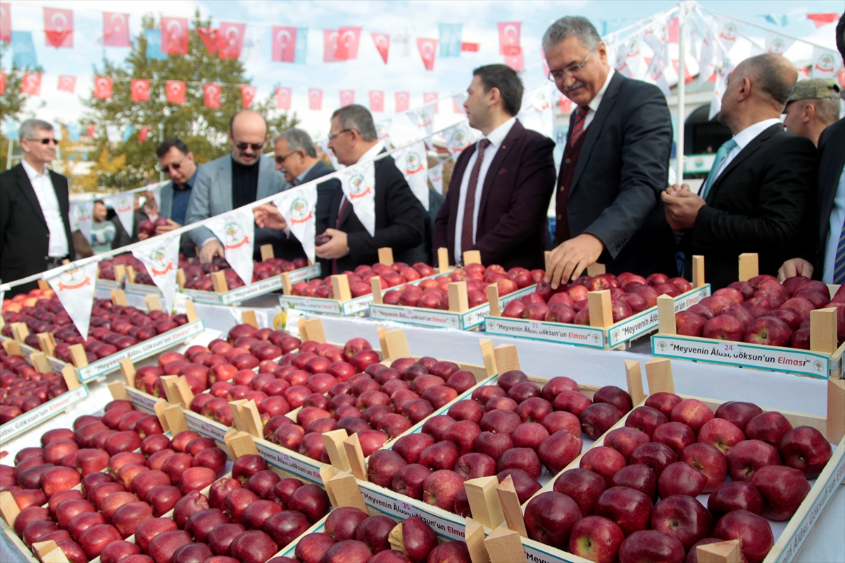 Kahramanmaraş'ta elma festivali düzenlendi - 0