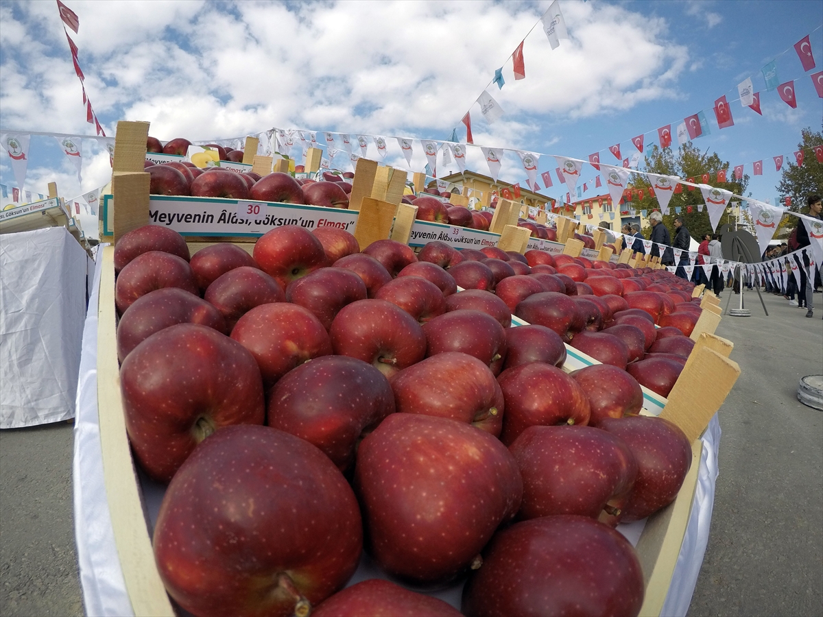Kahramanmaraş'ta elma festivali düzenlendi - 0