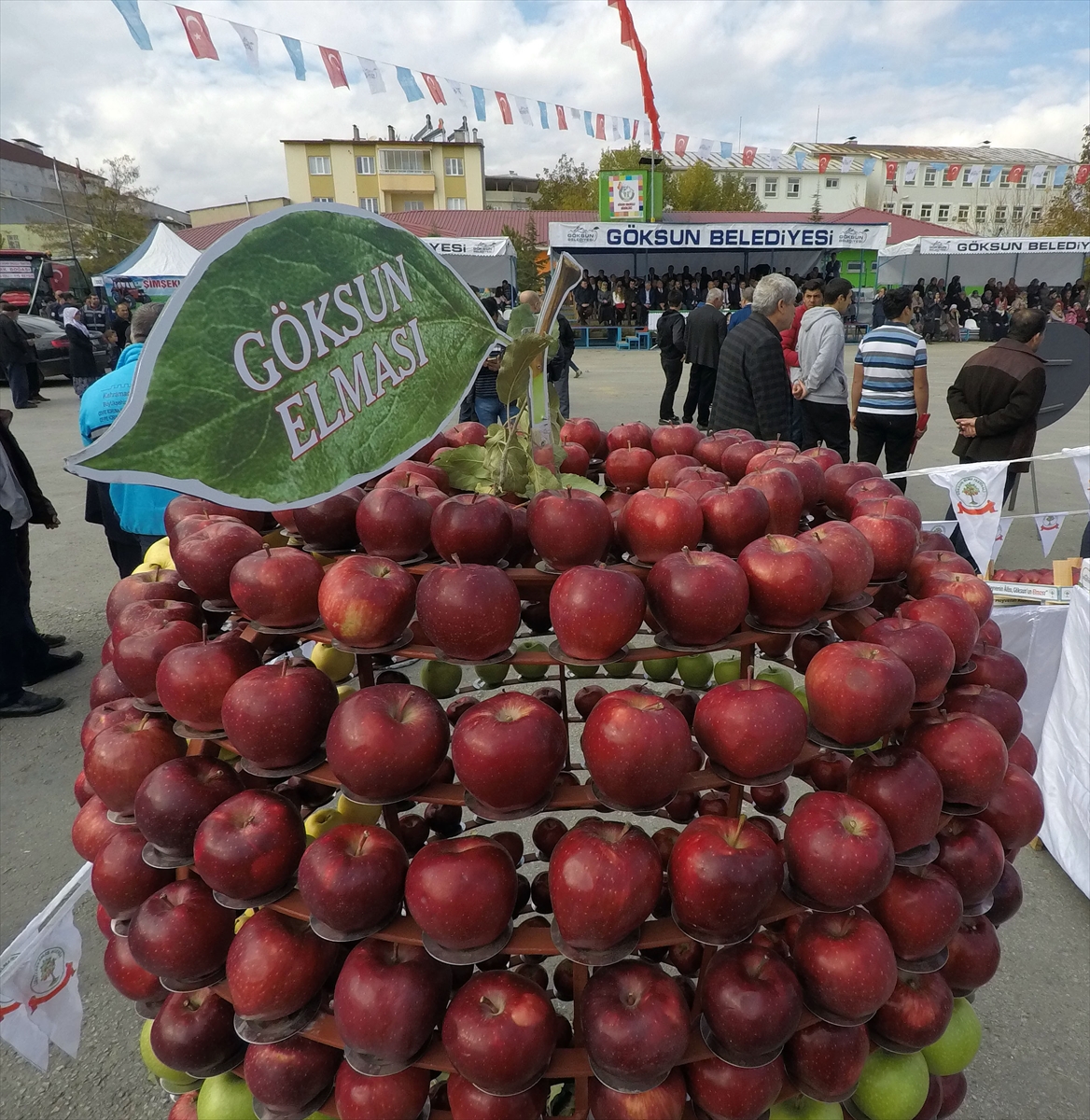 Kahramanmaraş'ta elma festivali düzenlendi - 0