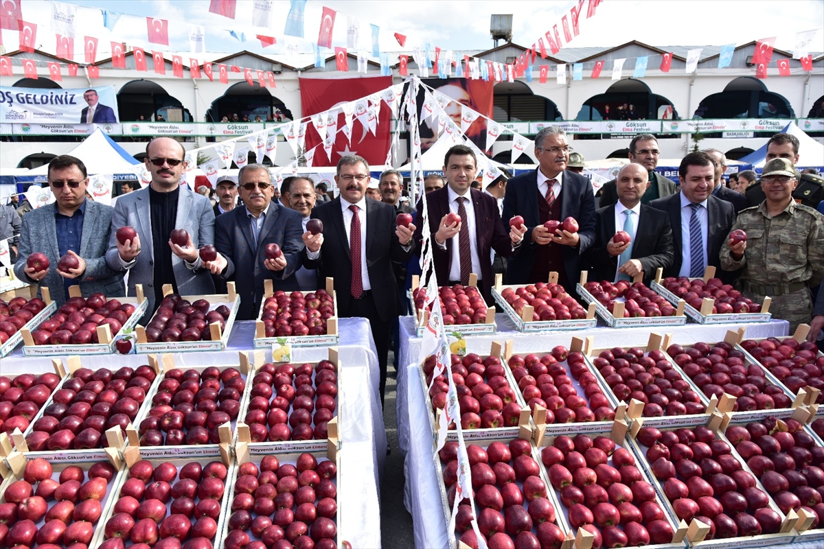 Kahramanmaraş'ta elma festivali düzenlendi - 0