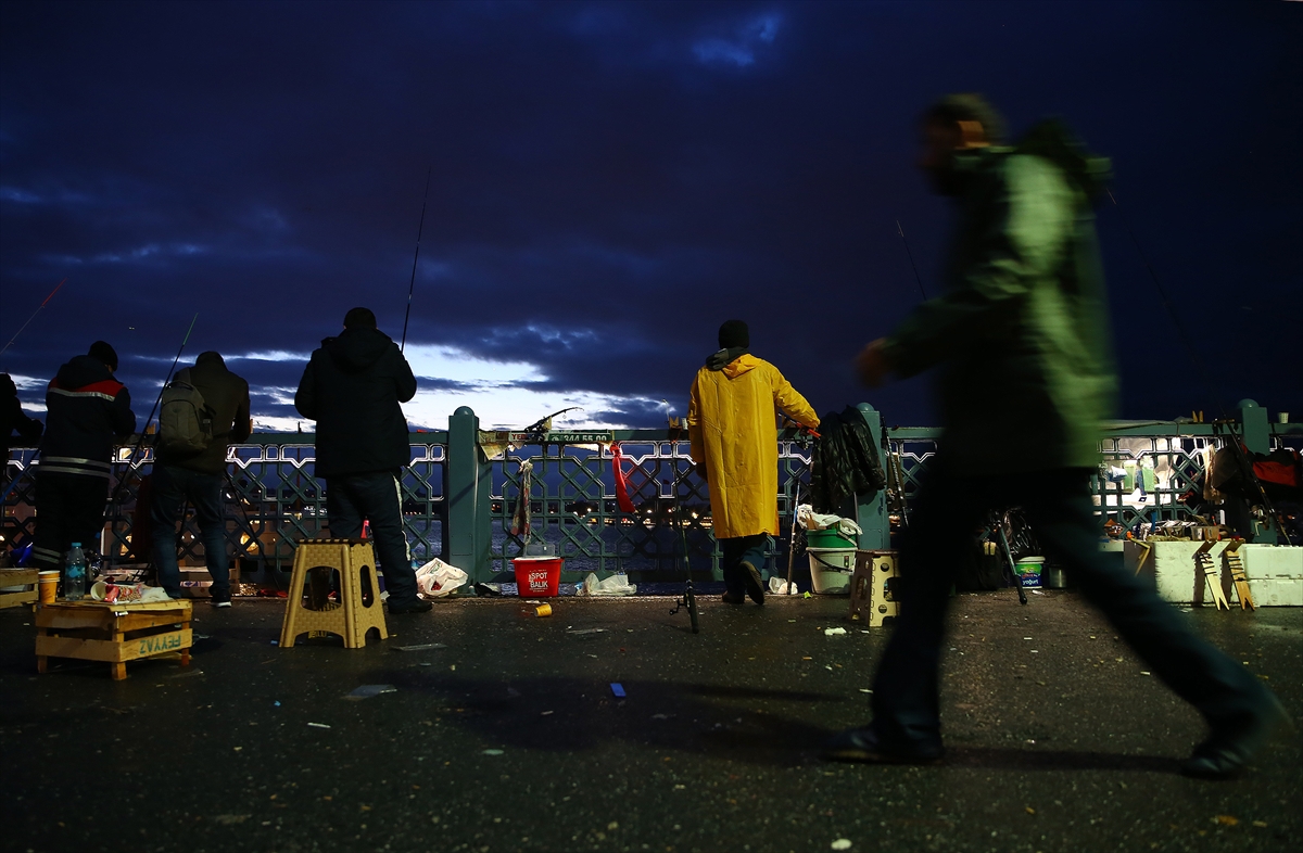 İstanbul Boğazı'nda istavrit bereketi - 0