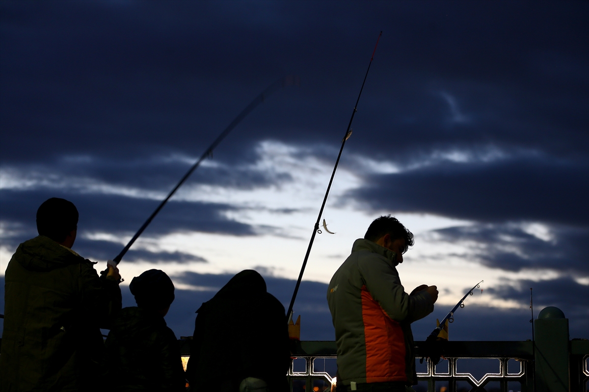 İstanbul Boğazı'nda istavrit bereketi - 0