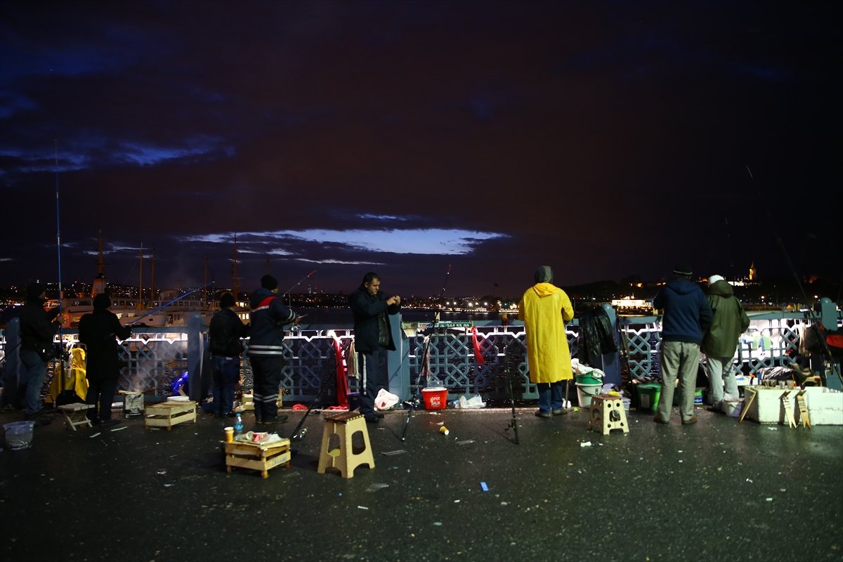 İstanbul Boğazı'nda istavrit bereketi - 0