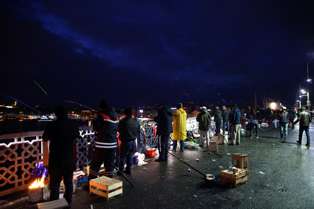 İstanbul Boğazı'nda istavrit bereketi - 0