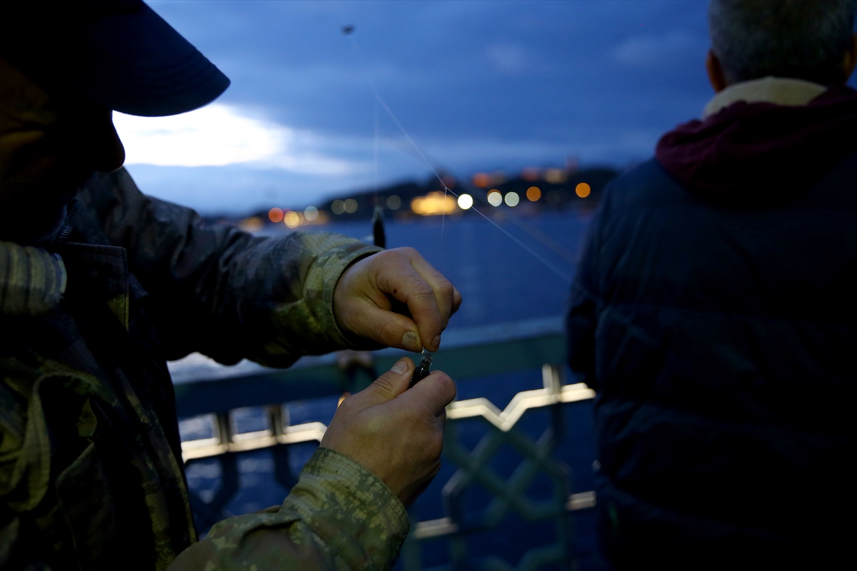 İstanbul Boğazı'nda istavrit bereketi - 0
