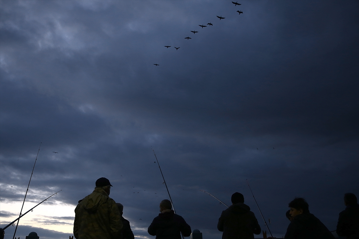 İstanbul Boğazı'nda istavrit bereketi - 0