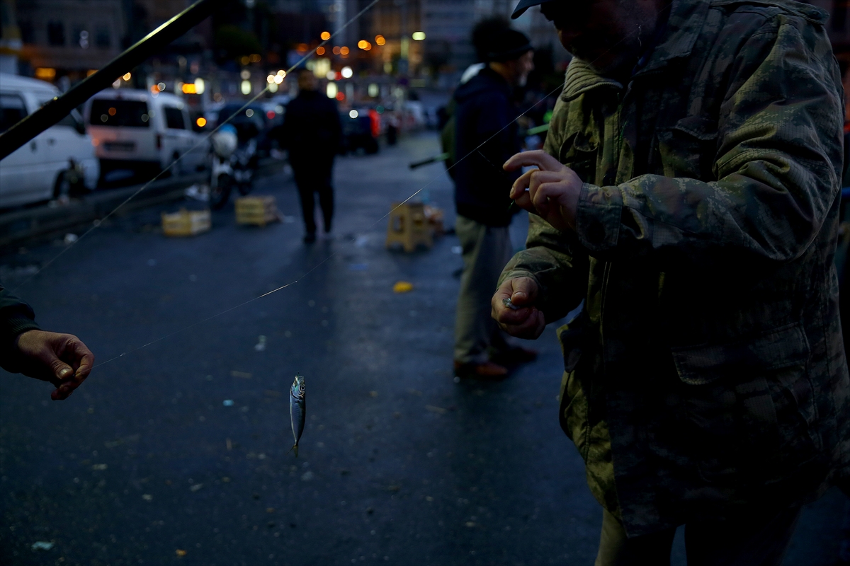 İstanbul Boğazı'nda istavrit bereketi - 0